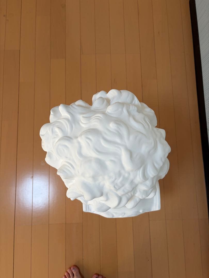 メディチ　石膏像