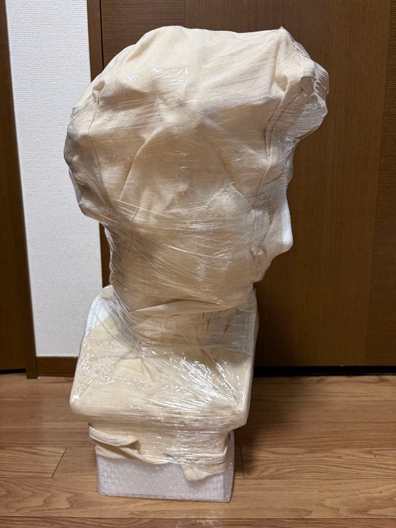 メディチ　石膏像