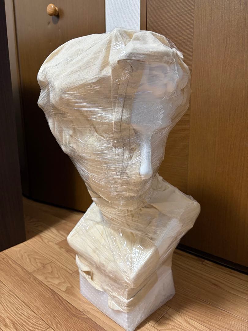 メディチ　石膏像