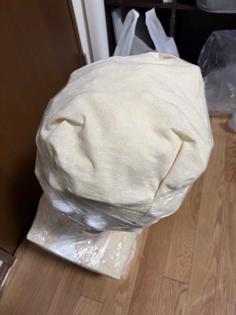 メディチ　石膏像