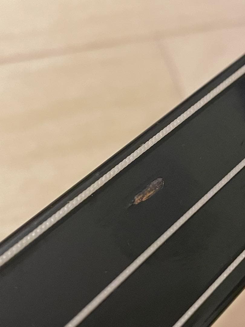 l*u様 沖縄 三線 サンシン 三味線 琉球 エイサー BOOM 宮沢 和史 島