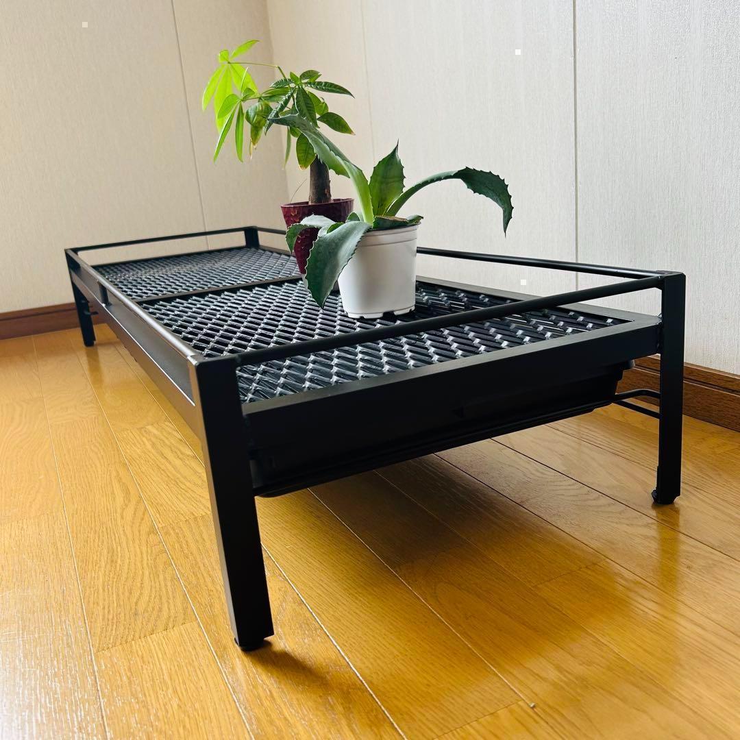 年末年始セール 植物棚 シェルフ アガペラック 124cm x 41cm - メルカリ