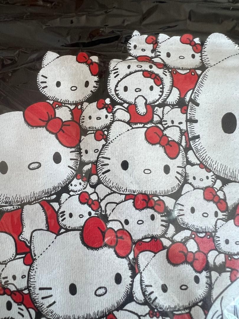 伊藤潤二✖️サンリオTシャツ