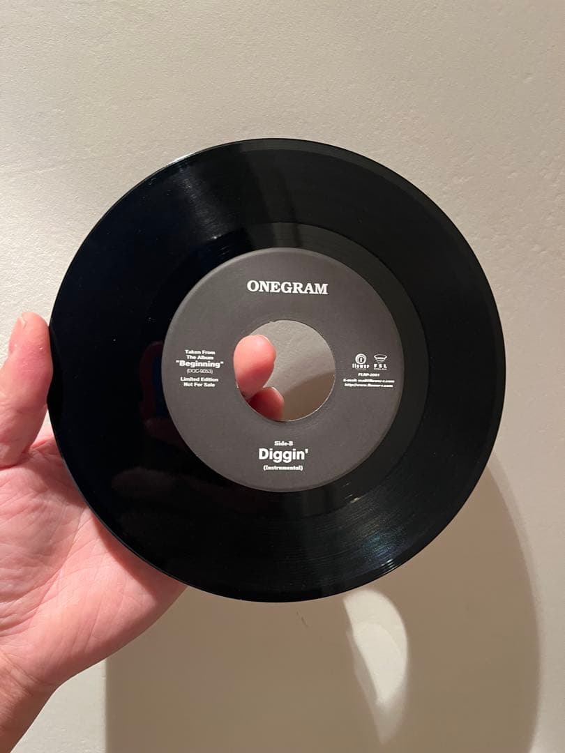 ONEGRAM CRAZY LOVE 日本語カバー　非売品　レアレコード