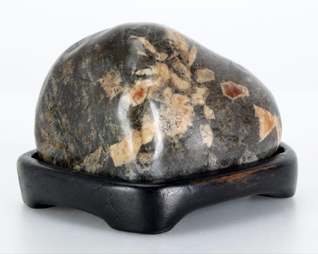 菊花石 菊紋石 紋石 台座付 307g 鑑賞石 原石 自然石 美石 小品盆栽