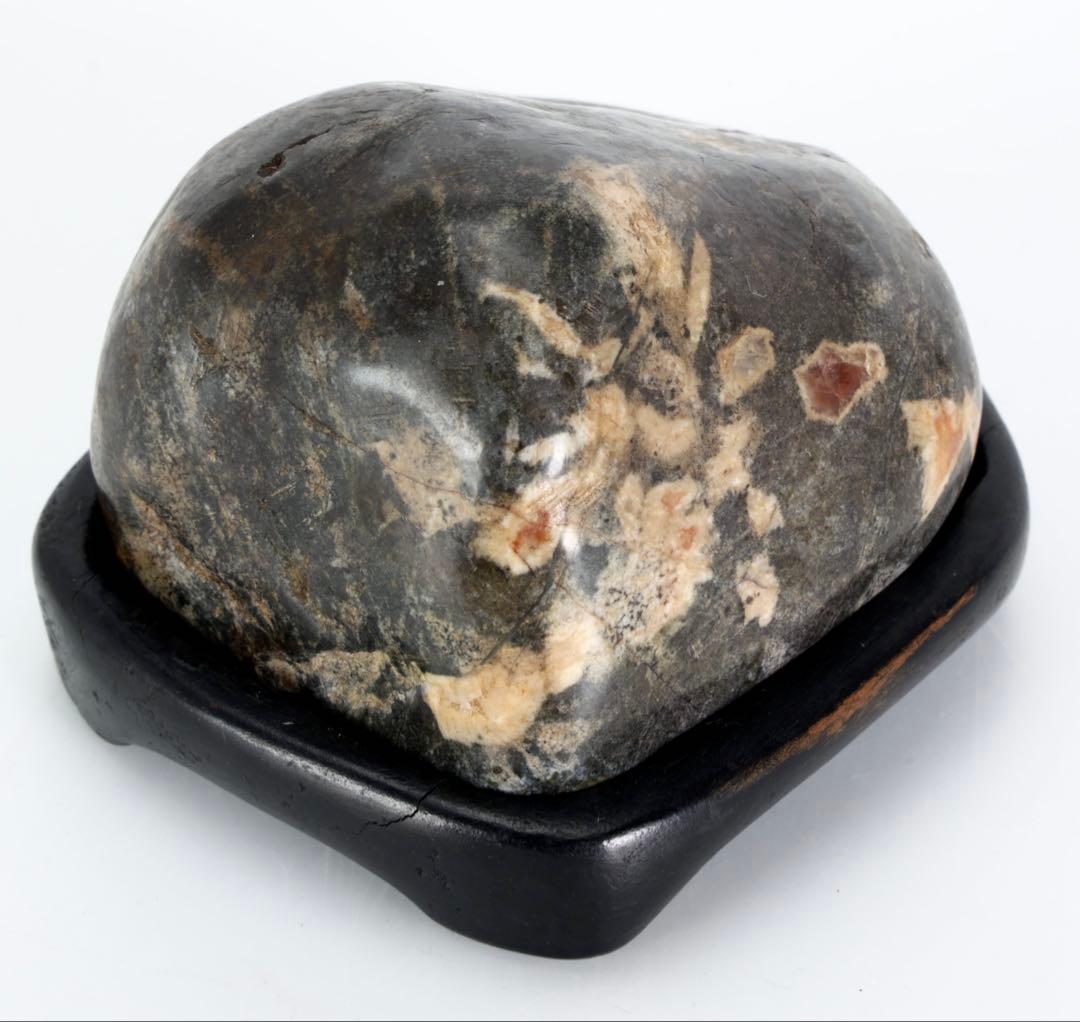 菊花石 菊紋石 紋石 台座付 307g 鑑賞石 原石 自然石 美石 小品盆栽