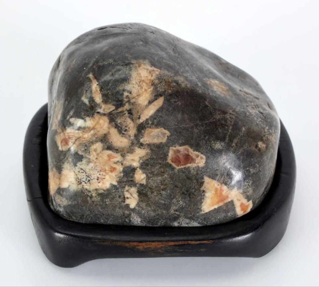 菊花石 菊紋石 紋石 台座付 307g 鑑賞石 原石 自然石 美石 小品盆栽