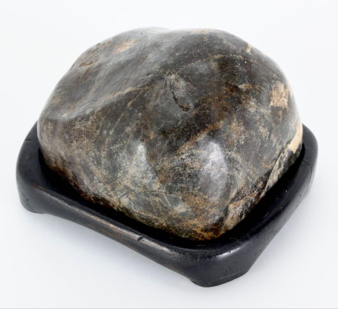 菊花石 菊紋石 紋石 台座付 307g 鑑賞石 原石 自然石 美石 小品盆栽