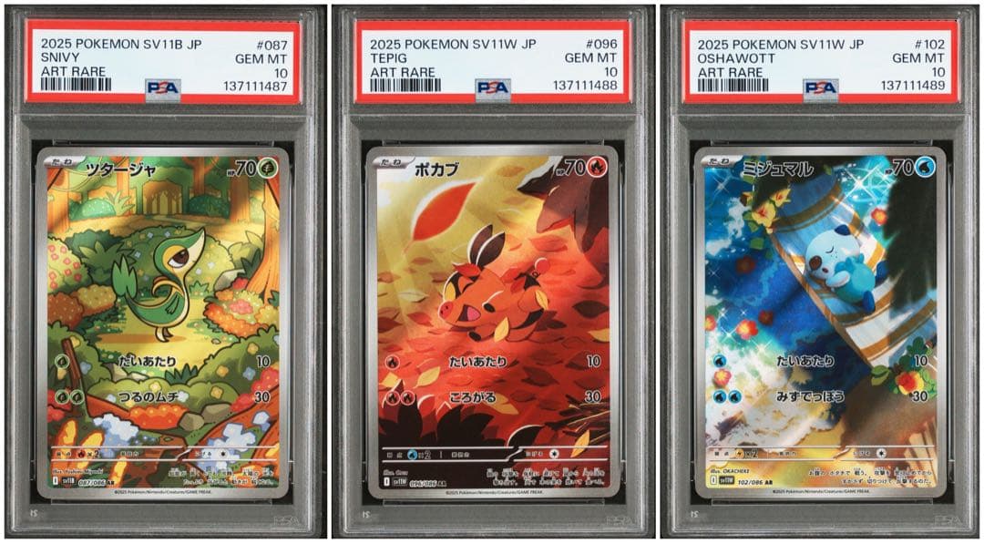 PSA10】【3連番】御三家ツタージャ ポカブ ミジュマル AR - メルカリ