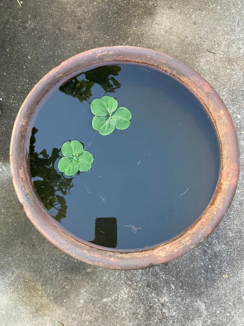 【存在感抜群】特大 古い甕 貯蔵壺 古民具 時代物 陶器 ブラック61センチ