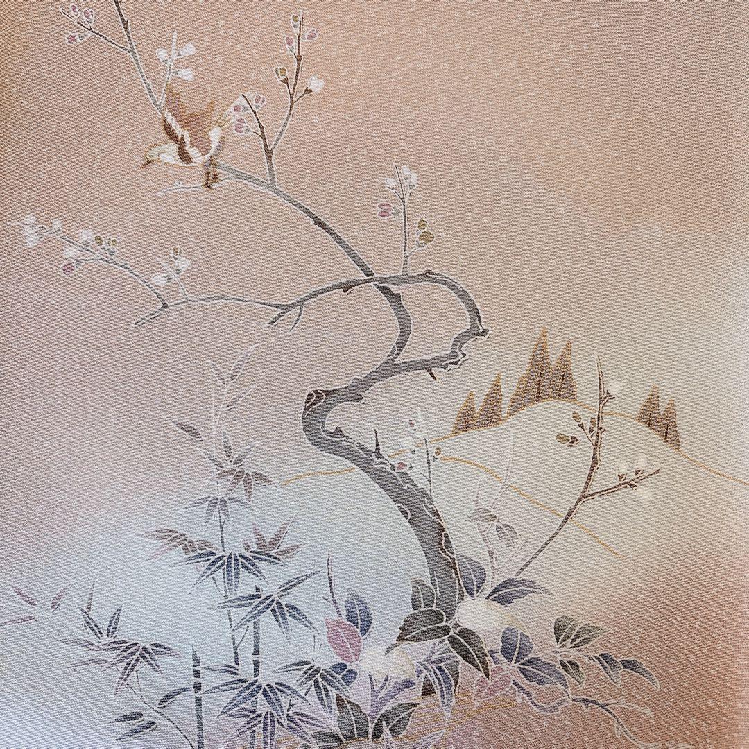 極美品 訪問着 フルセット 友禅 裄67 68 蝶 鳥卒業式 入学