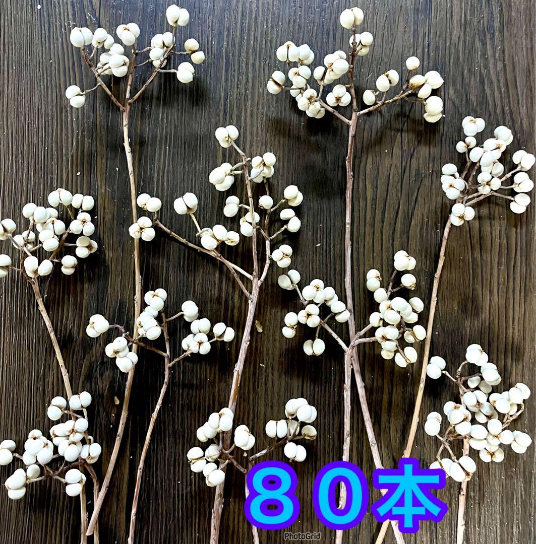 ナンキンハゼ　ドライフラワー