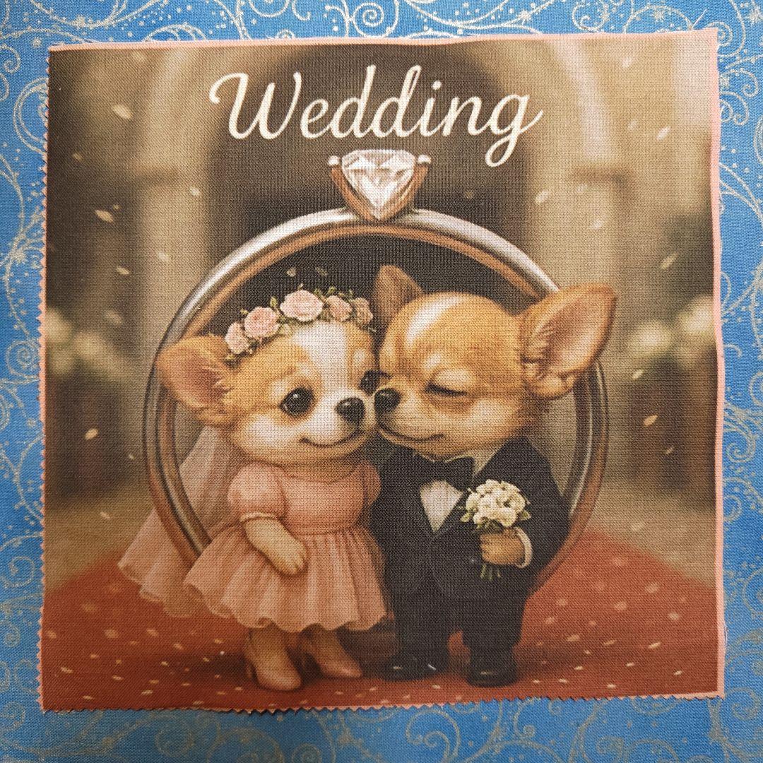 黒ねこ専用　パネル　チワワちゃん柄　45枚