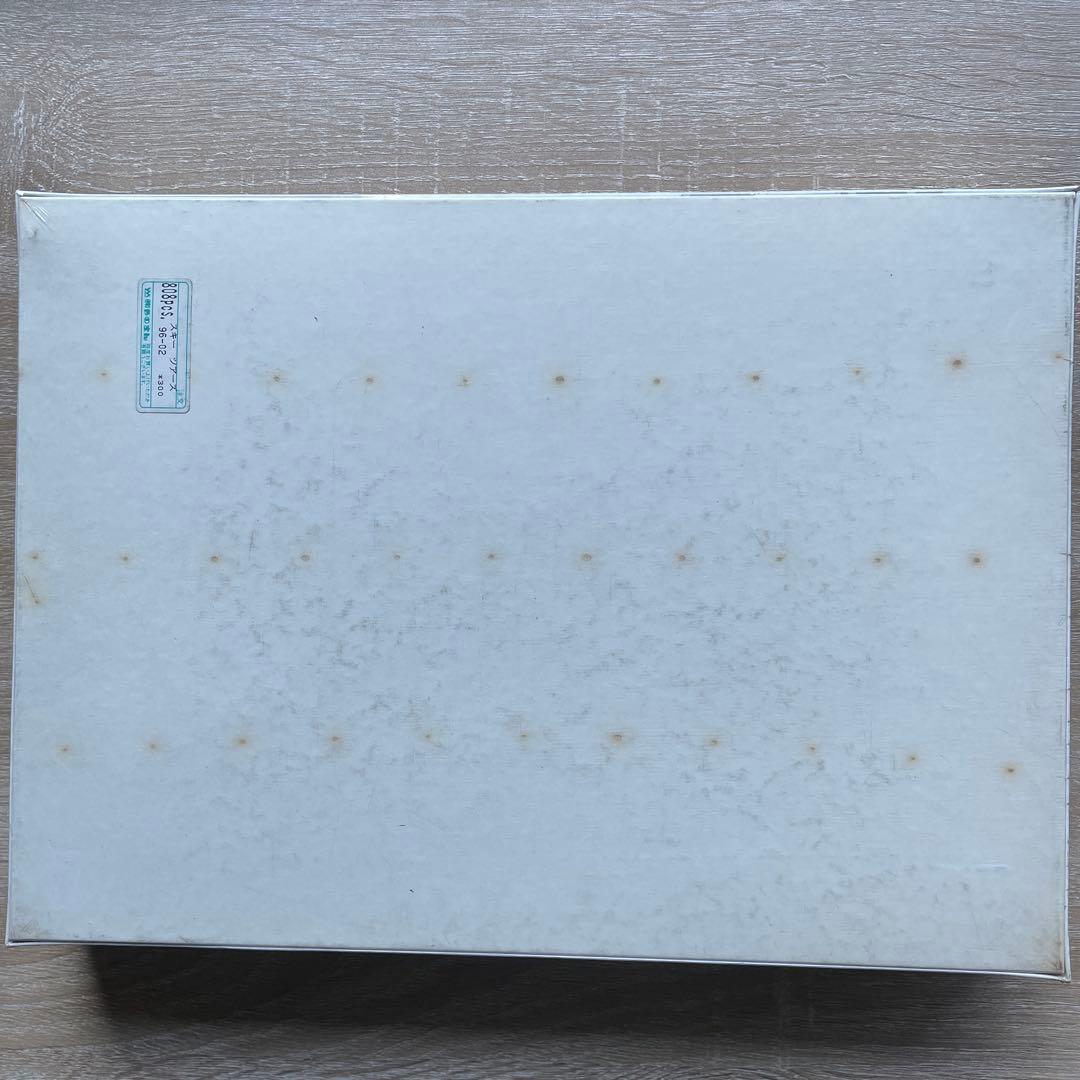 ジグソーパズル ジェイムス・リッツィ スキーツアーズ 808P 未開封