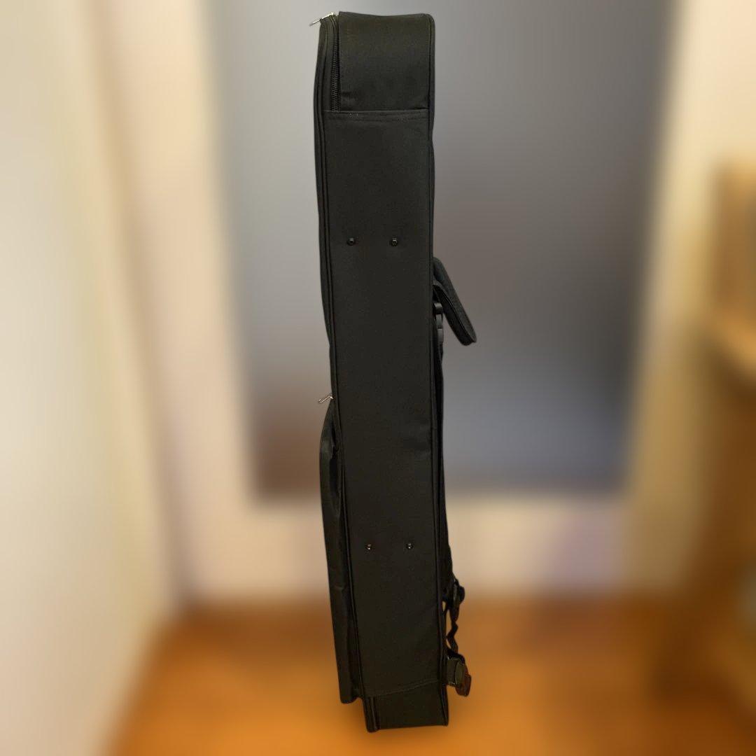 【ほぼ新品・美品】平田三線 蛇皮 ケース付き沖縄三味線・三味線デビュー初心者