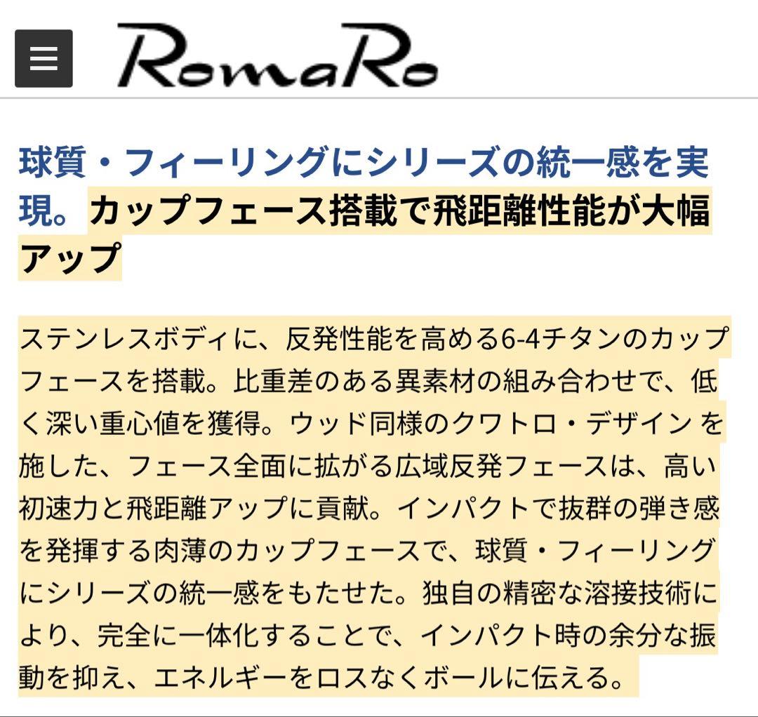 【美品】RomaRo Ray α FORGED DG105 R300 8本 特注