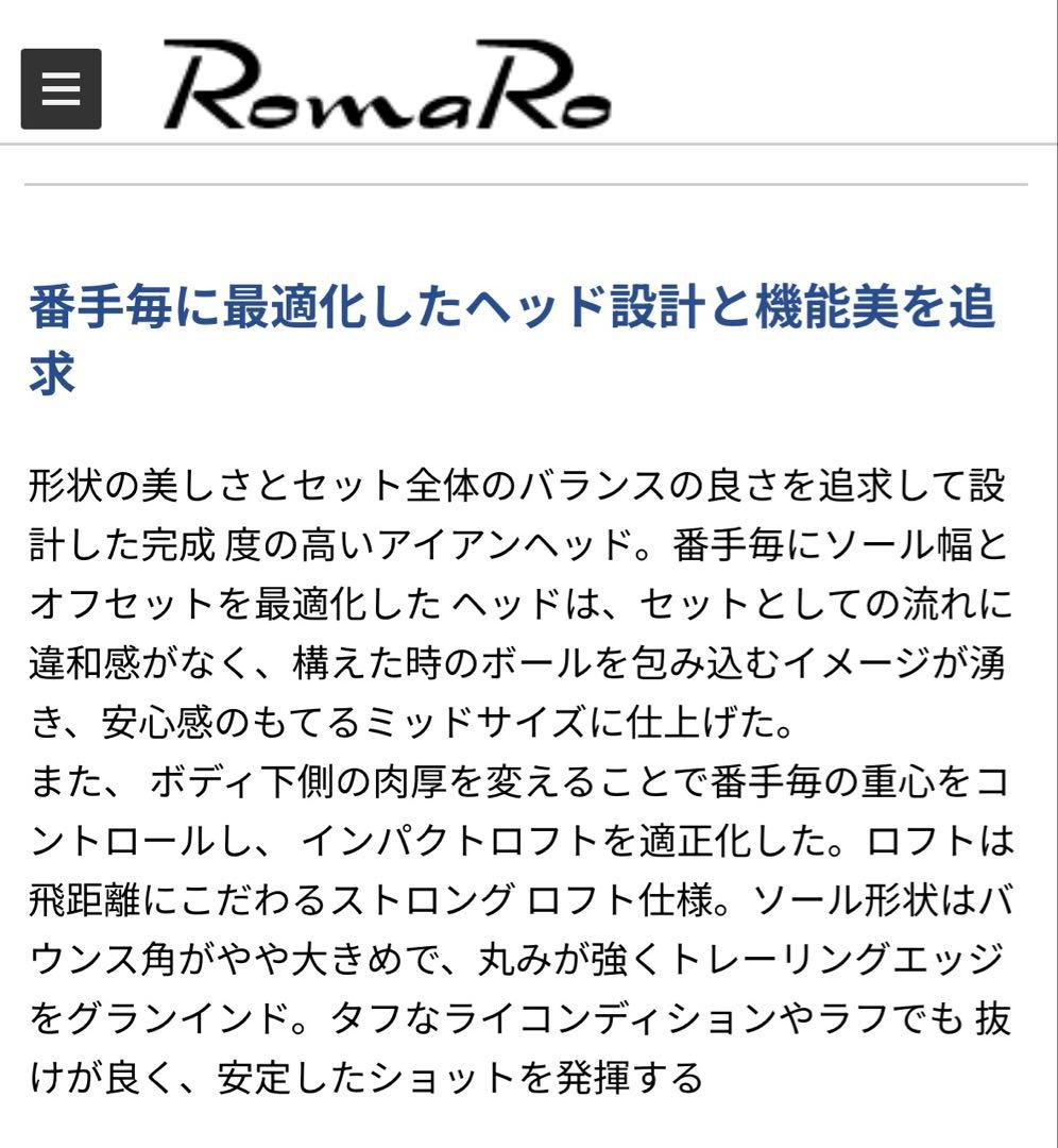 【美品】RomaRo Ray α FORGED DG105 R300 8本 特注