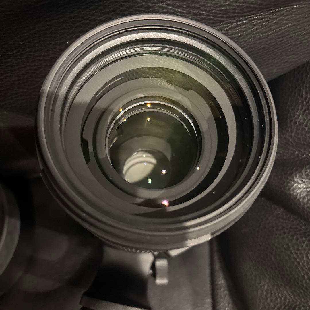 TAMRON 150-500mm F/5-6.7 （ソニーEマウント用)