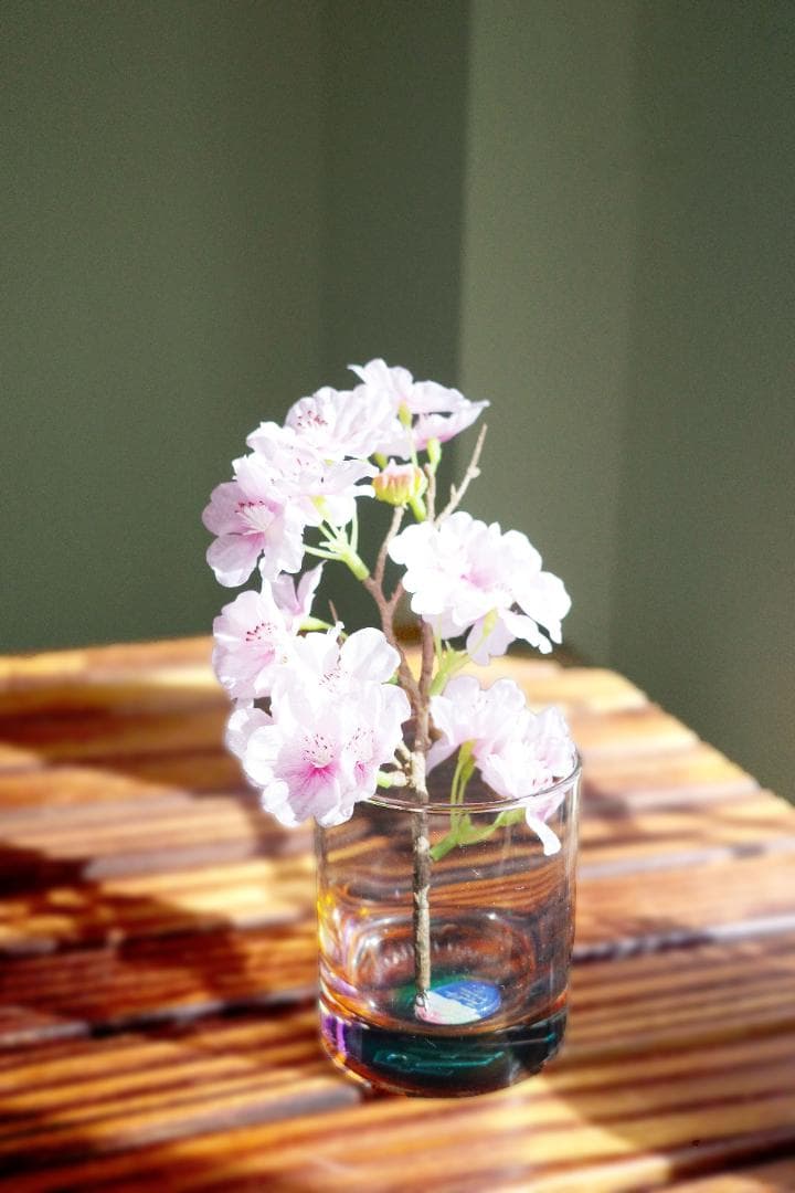 「THANK YOU SO MUCH!!」 DVD サザンオールスターズ