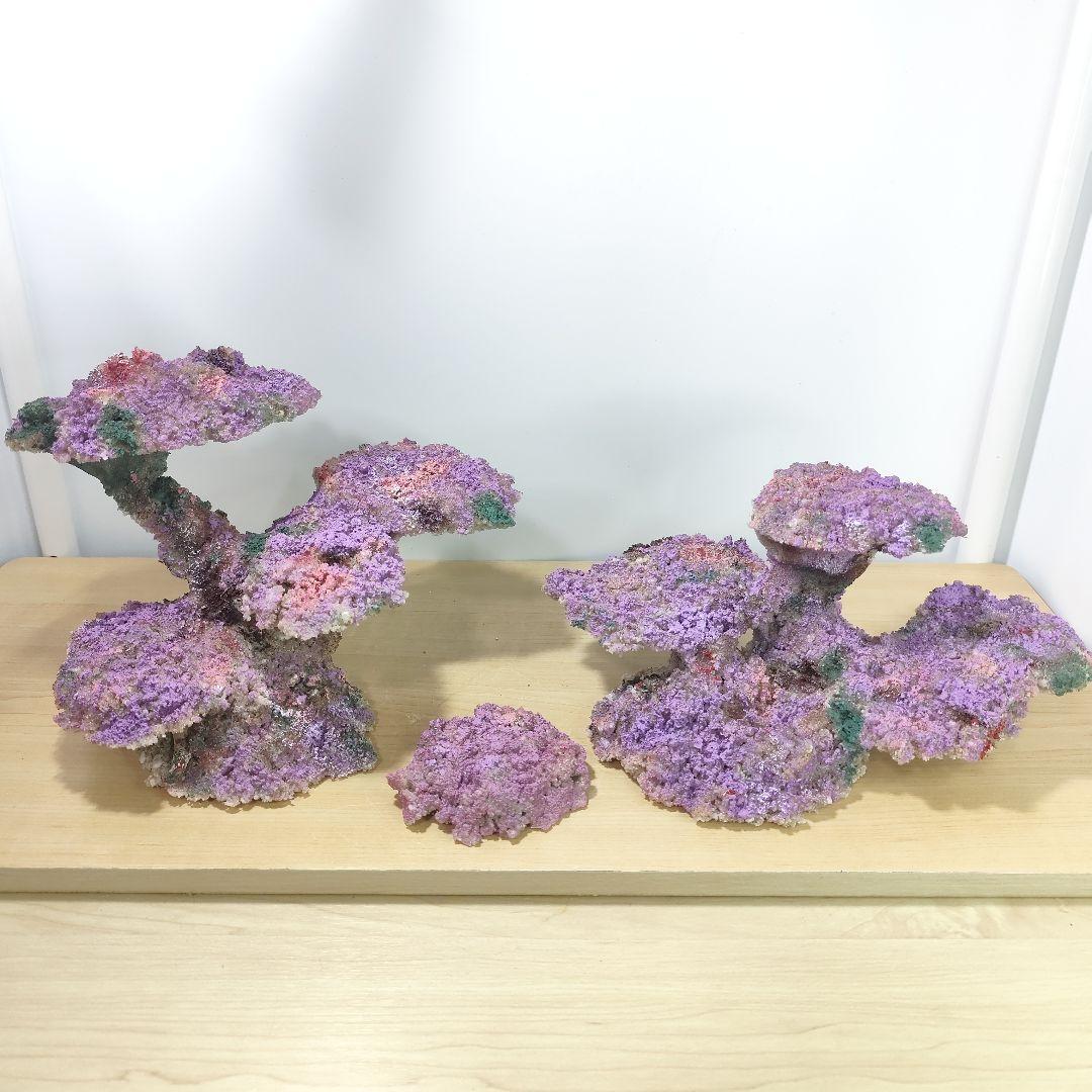 新品アク抜き不要 分離型人工ライブロック 60cm海水水槽用 レプリカ 多孔質