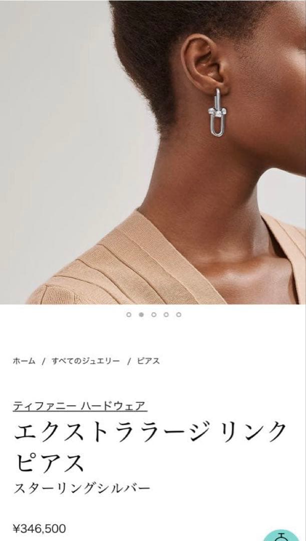 ひいちゃんさん専用)Tiffany ティファニーハードウェア エクストラ