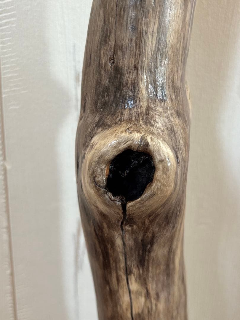 流木　ドアハンドル　ドアノブ　取手　長さ72cm　曲がり×枝×うろ　超希少