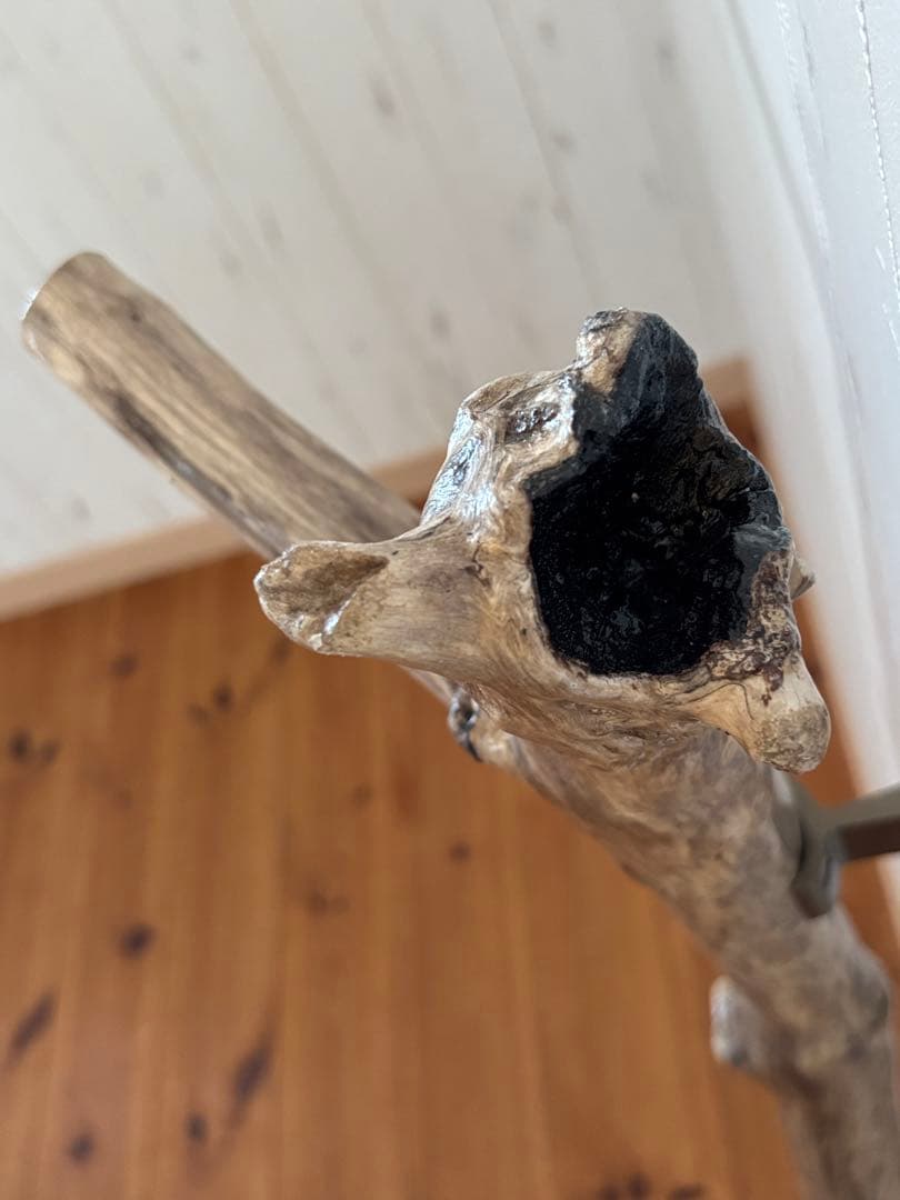 流木　ドアハンドル　ドアノブ　取手　長さ72cm　曲がり×枝×うろ　超希少