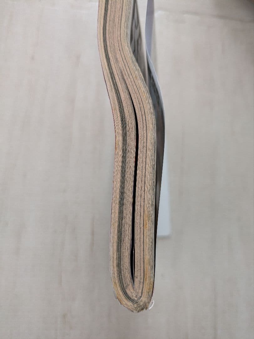 アフタヌーン　1991.2特大号　寄生獣22