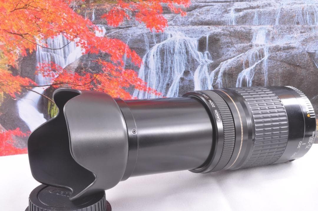 望遠レンズ Canon キヤノン 迫力の75-300mm レンズフード付き！
