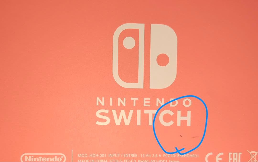 Nintendo Switch Lite コーラル 付属品完備 おまけ付