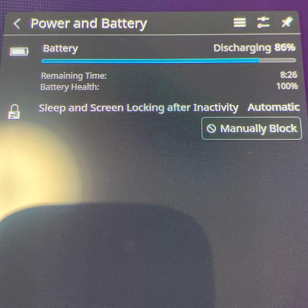 【ほぼ新品】Steam Deck OLED 1TB