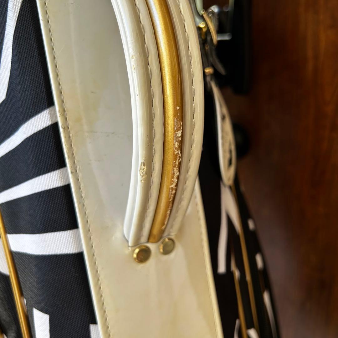 AKIRA キャディバッグ ゴルフバッグ フードあり