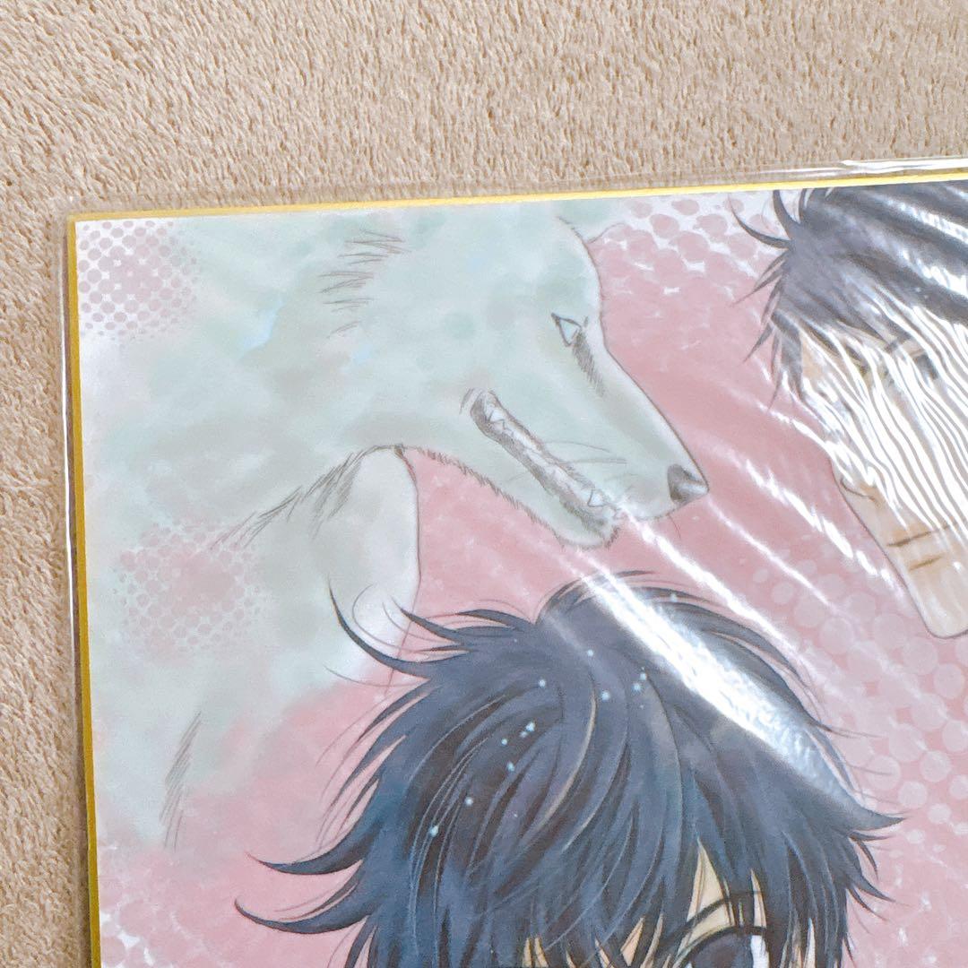 八犬伝　あべ美幸　複製サイン入り色紙