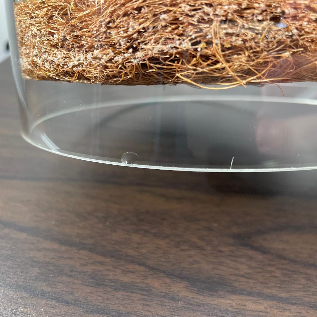 briiv ブリーヴ 空気清浄機