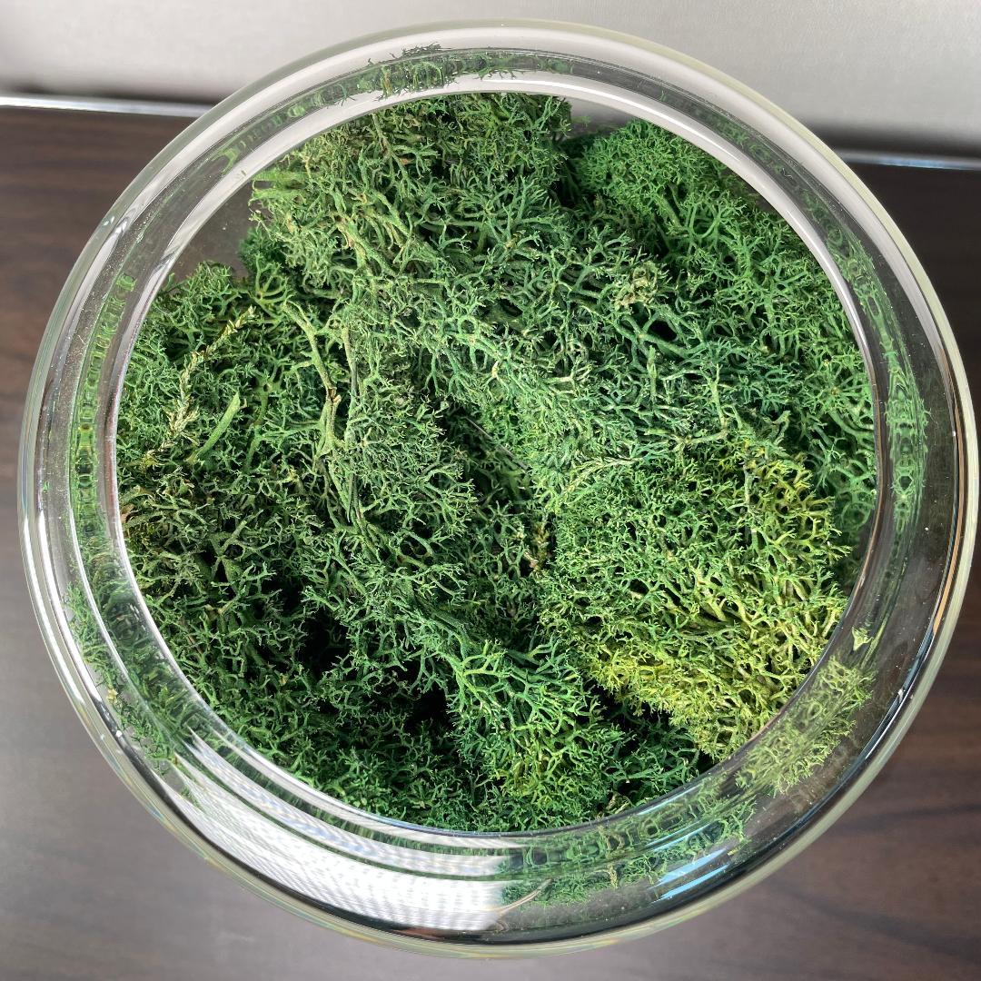 briiv ブリーヴ 空気清浄機