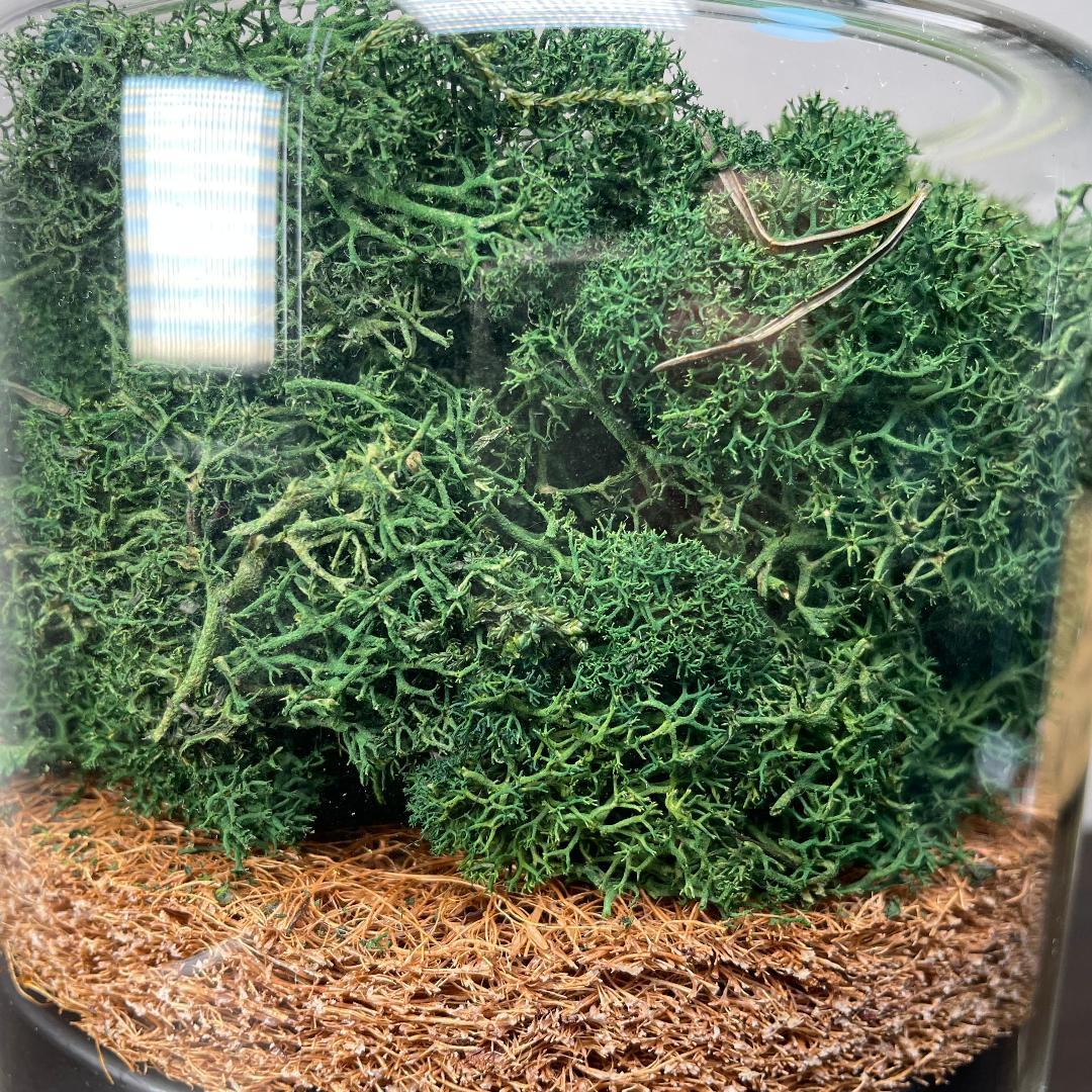 briiv ブリーヴ 空気清浄機