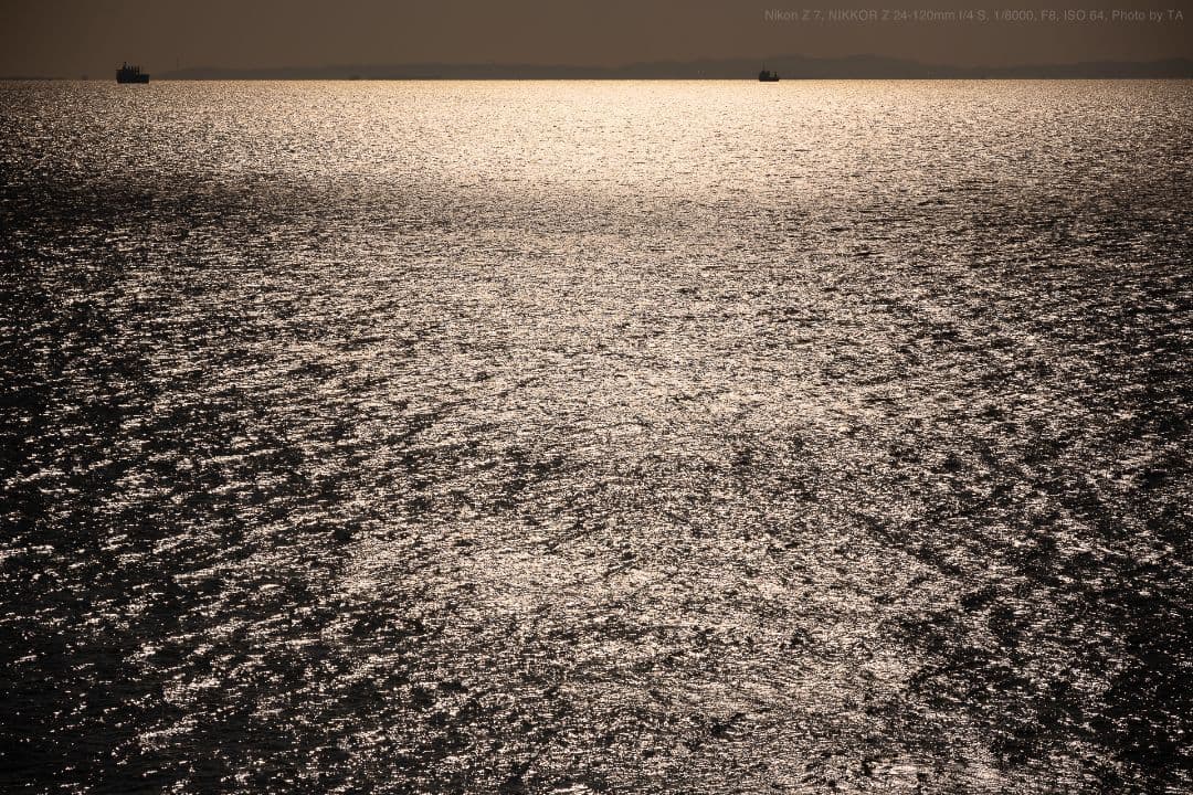 美品！NIKKOR Z 24-120mm f/4 S 神レンズ ★年末お値下げ！