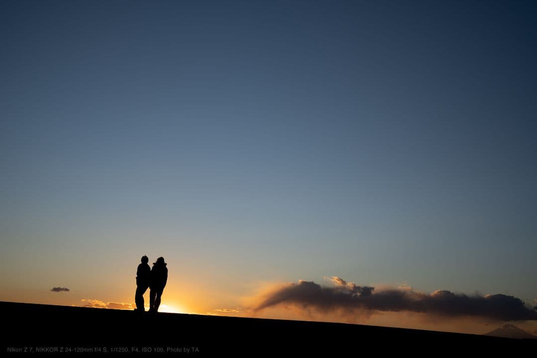 美品！NIKKOR Z 24-120mm f/4 S 神レンズ ★年末お値下げ！