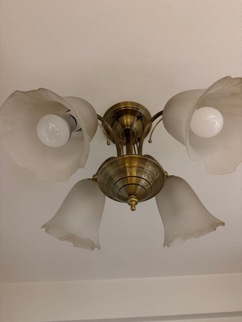 odelic シーリングファン wf803 P2ベージュの通販｜www.k4fashion.com