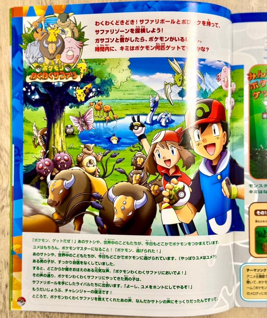 【激レア】ポケモン ポケパーク2005 公式ブック