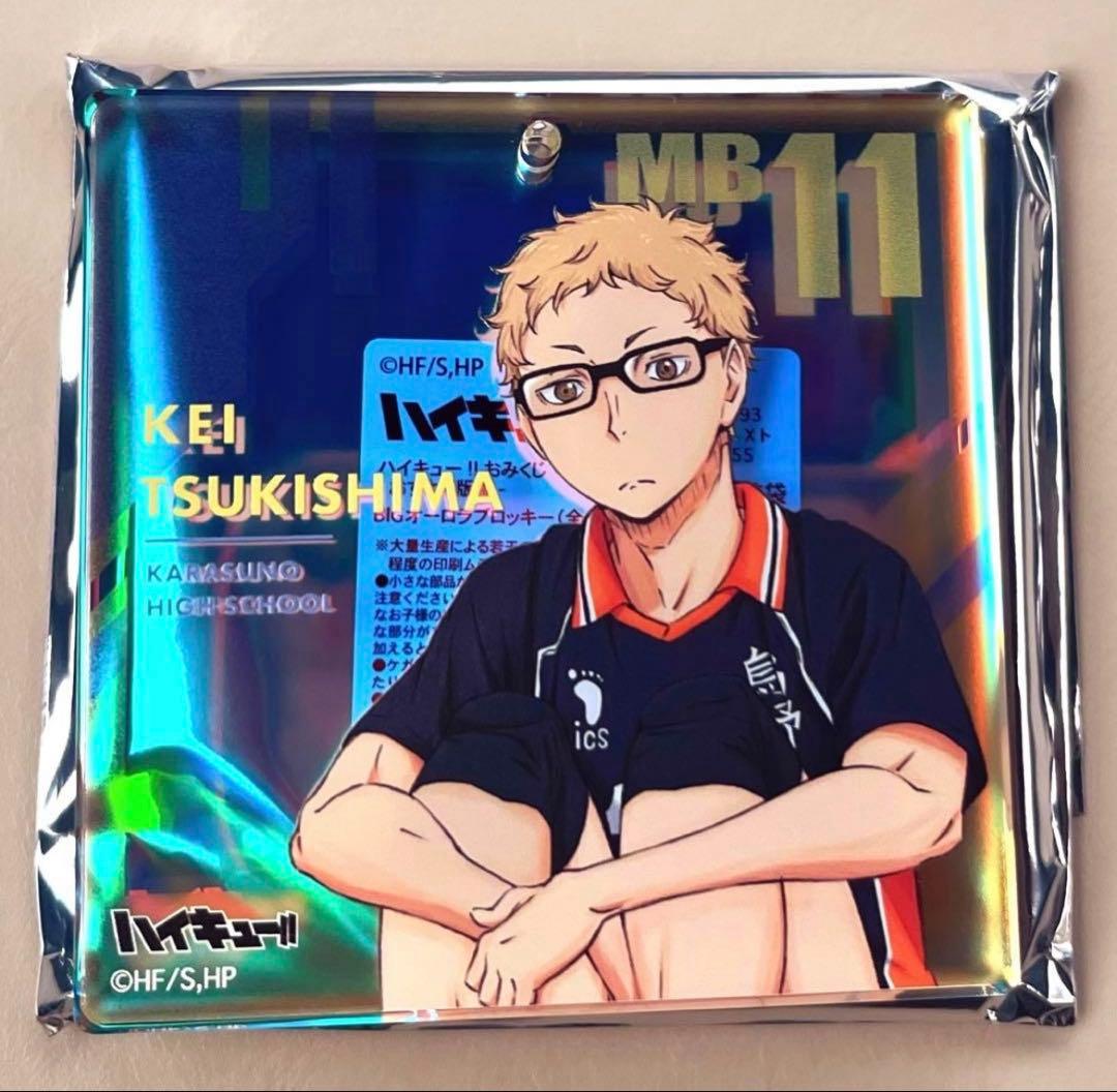 ハイキュー ファンパーク ショウワノート オーロラブロッキー 月島蛍