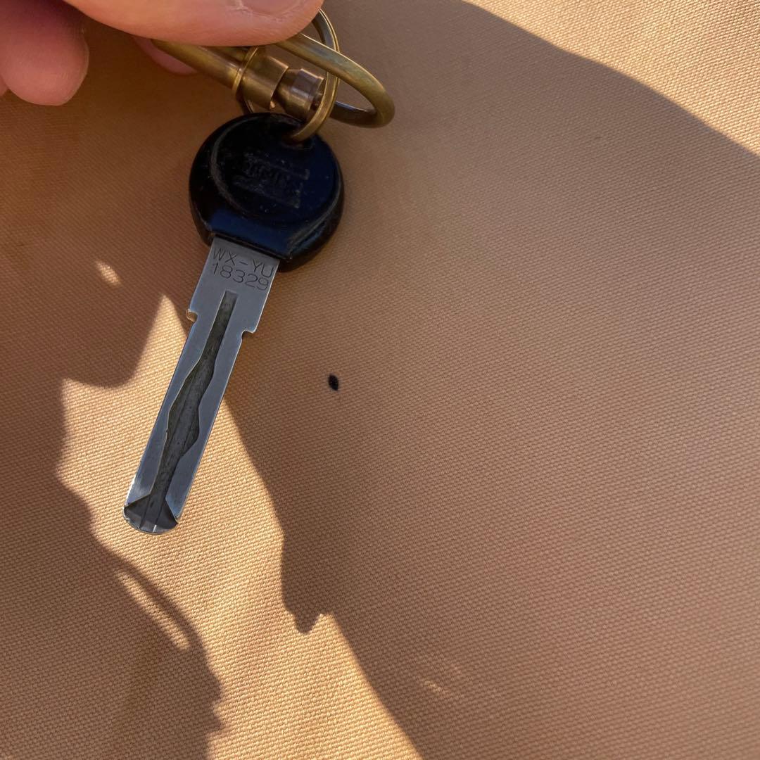 山*屋様 テンティピ　サファイア9CP