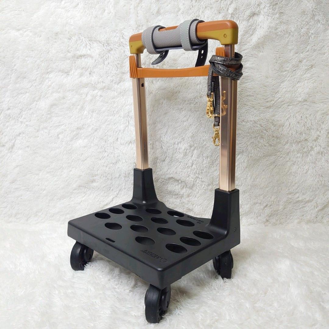 【美品】SWANY スワニー キャリーバッグ ボンジャポネ 専用レインカバー付