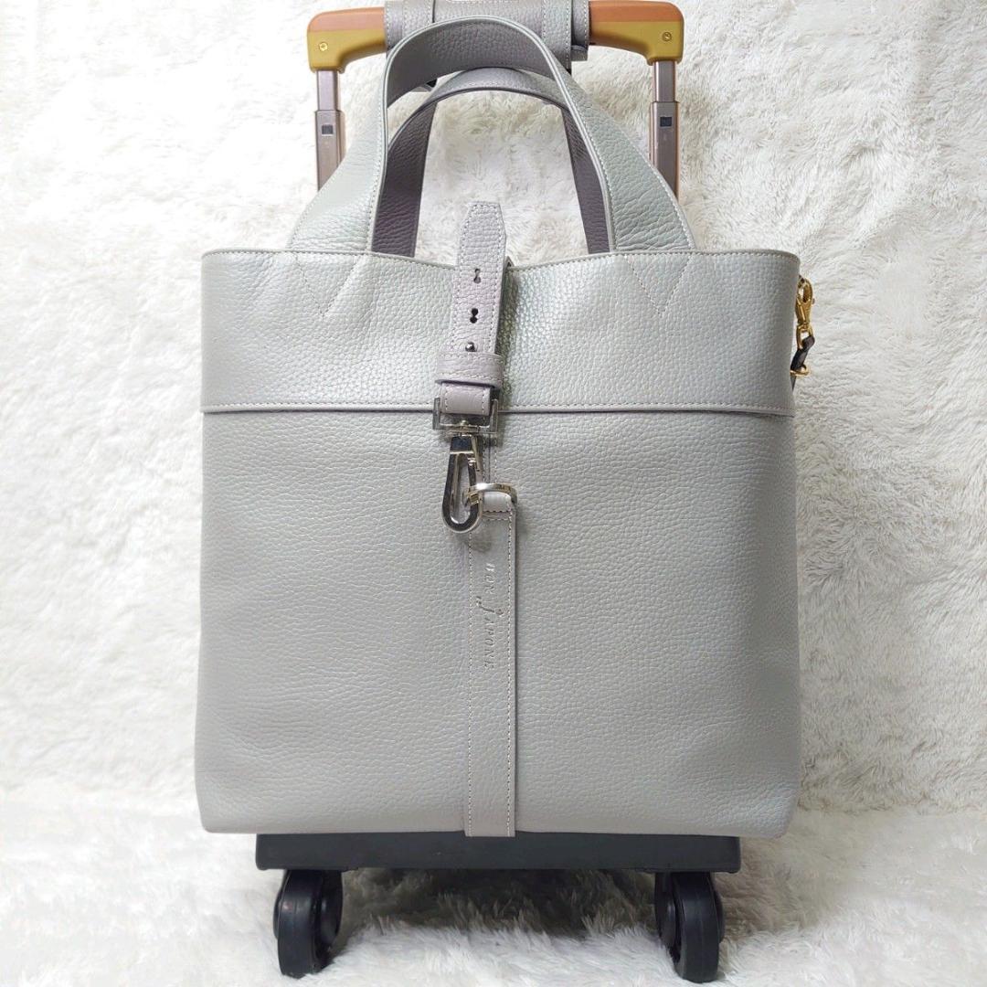 【美品】SWANY スワニー キャリーバッグ ボンジャポネ 専用レインカバー付