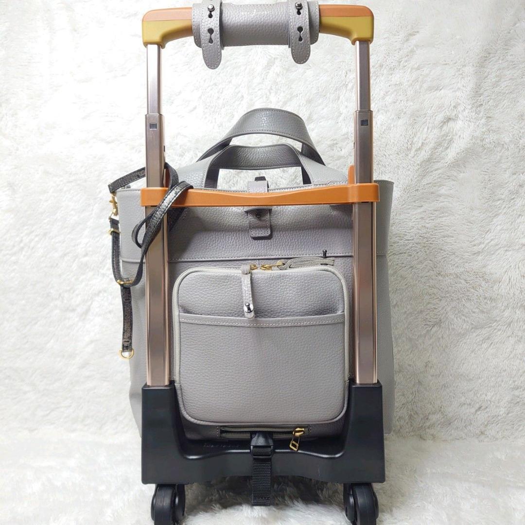 【美品】SWANY スワニー キャリーバッグ ボンジャポネ 専用レインカバー付