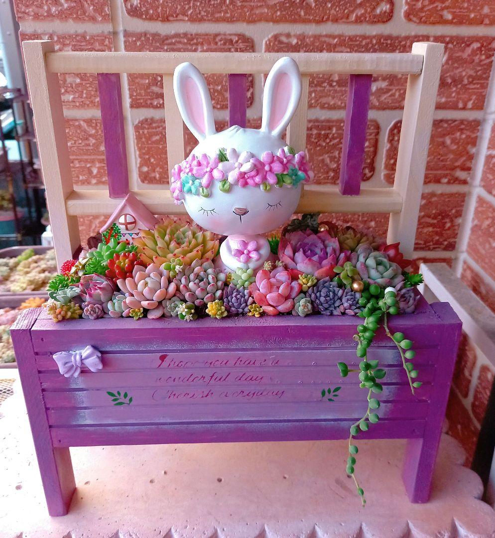 ❤️多肉植物❤️そのまま飾れる寄せ植え❤️花冠うさぎちゃん~❤️