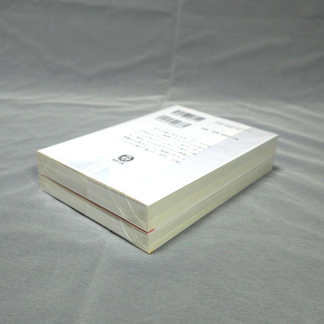 「もどってきたアミ」「アミ３度目の約束」