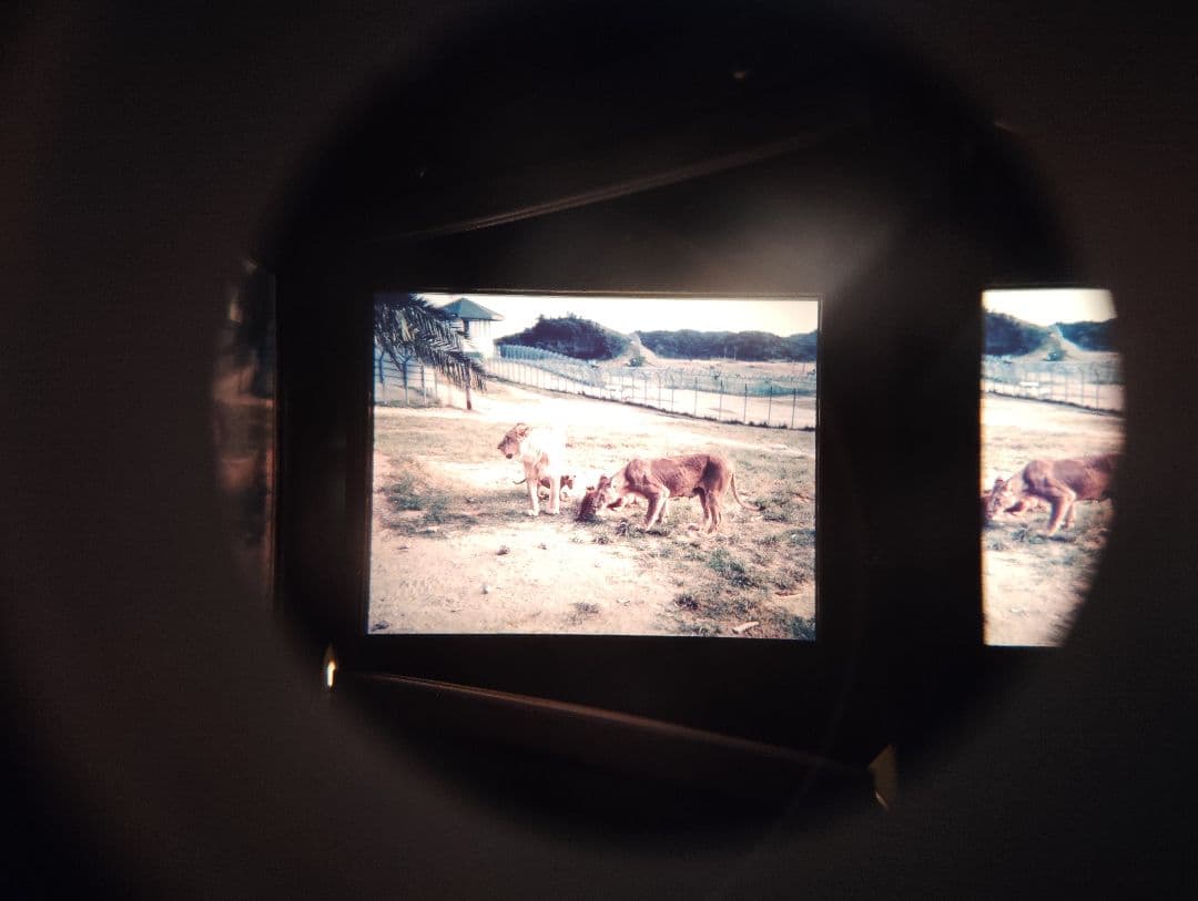 ワック　視力回復トレーニング