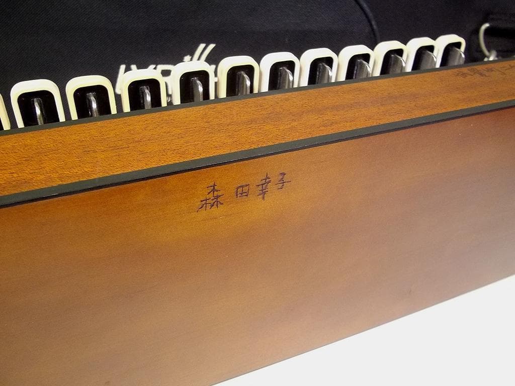 ライリッシュ LPS50 均等鍵盤 大正琴 4弦 ピックアップ付き