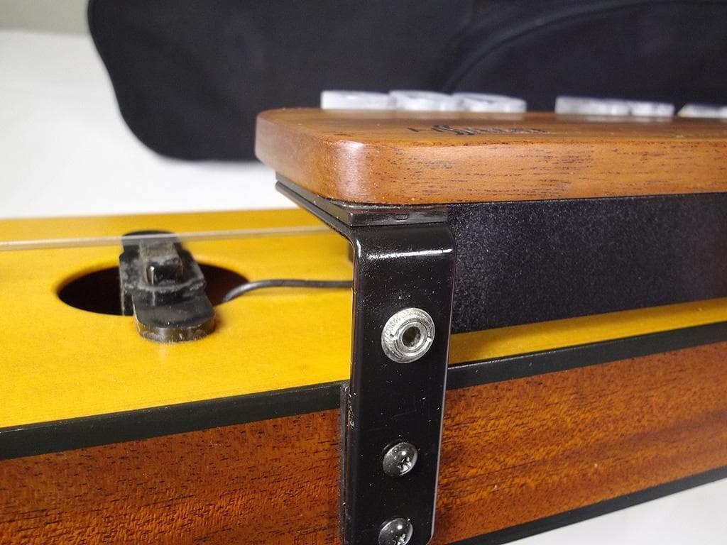 ライリッシュ LPS50 均等鍵盤 大正琴 4弦 ピックアップ付き